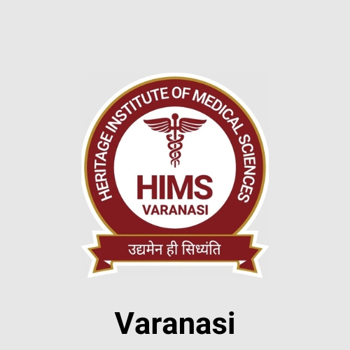 Blue and Yellow Simple Boat Trips Logo (3)